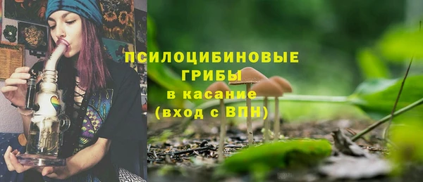 молекула духа Арсеньев